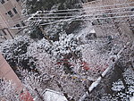 城市雪景
