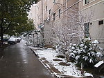 城市雪景