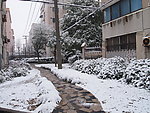 城市雪景