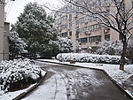 城市雪景