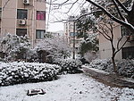 城市雪景