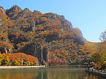 漫山红叶