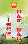 文化标语