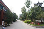 园林景观