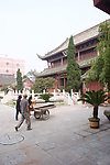 园林景观
