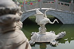 园林景观