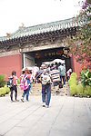 大观园景观