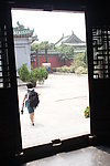 公园景色