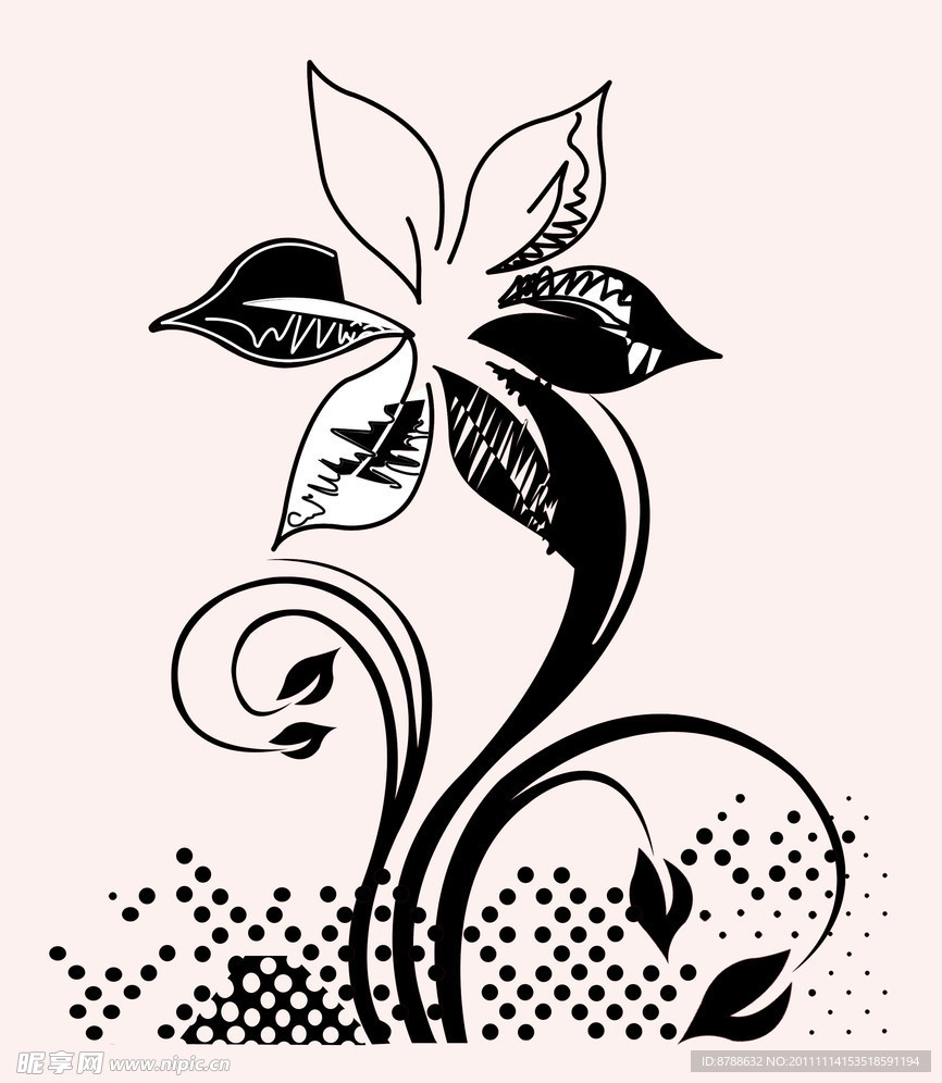 花纹