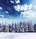 下雪天雪景