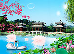 夏天风景