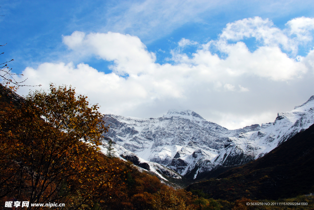 黄龙风景 雪山