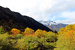 黄龙风景 雪山