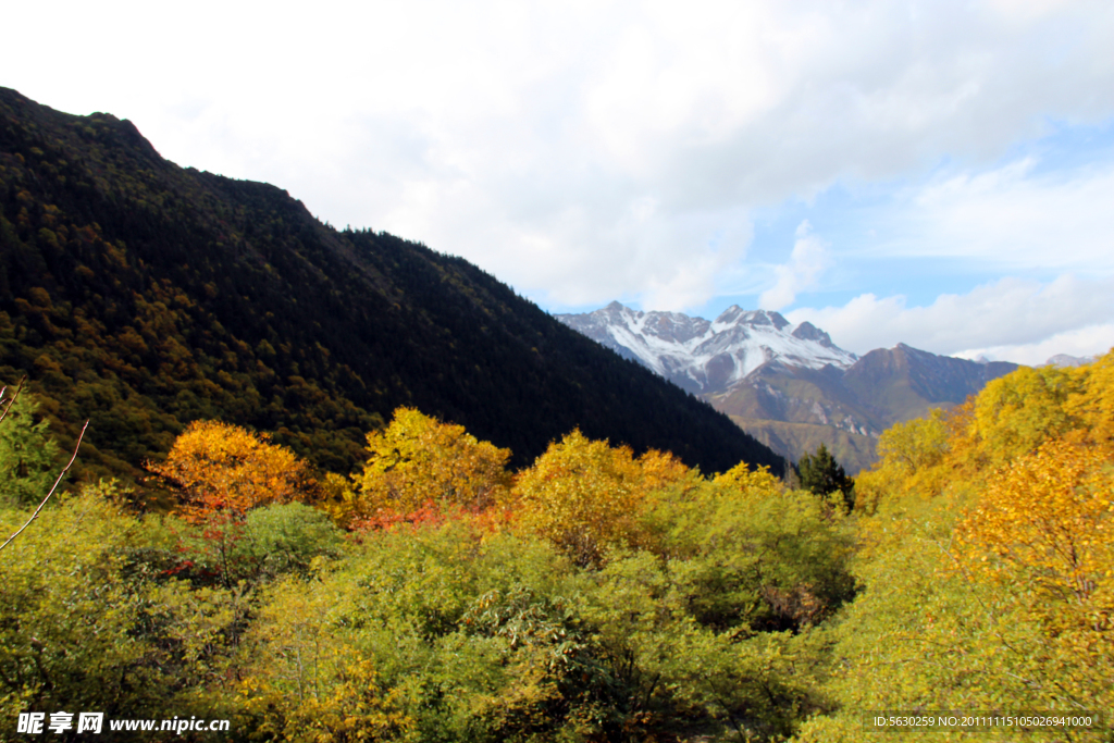 黄龙风景 雪山