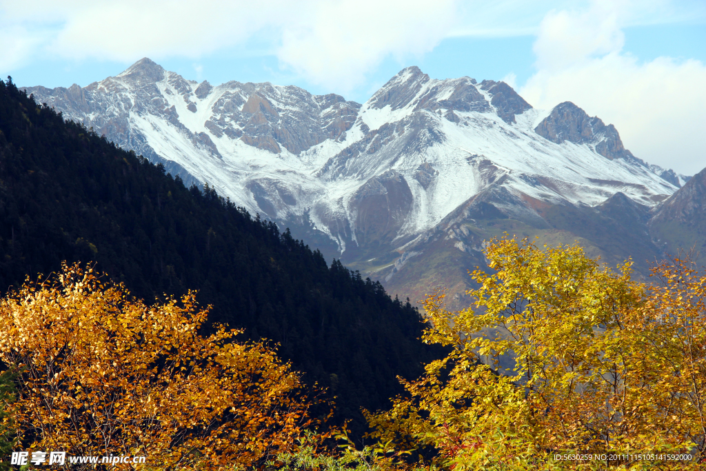 黄龙风景 雪山