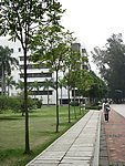 小区街道