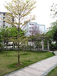小区公园