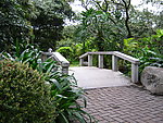 公园风景