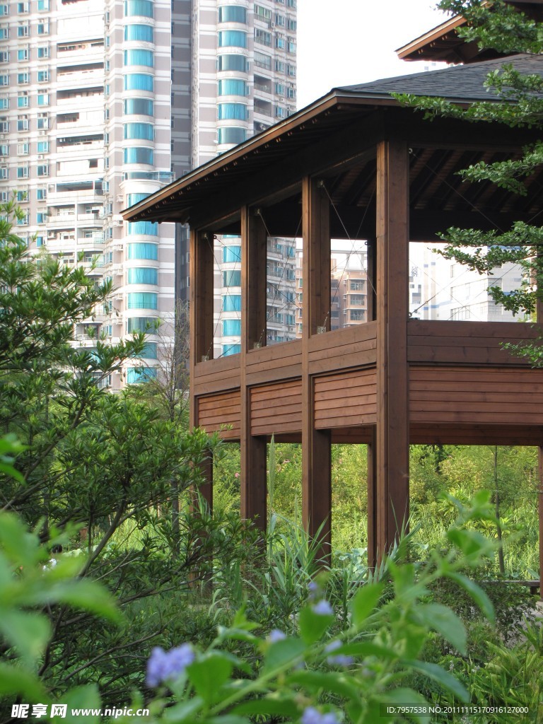 公园风景
