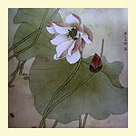 工笔(非高清)
