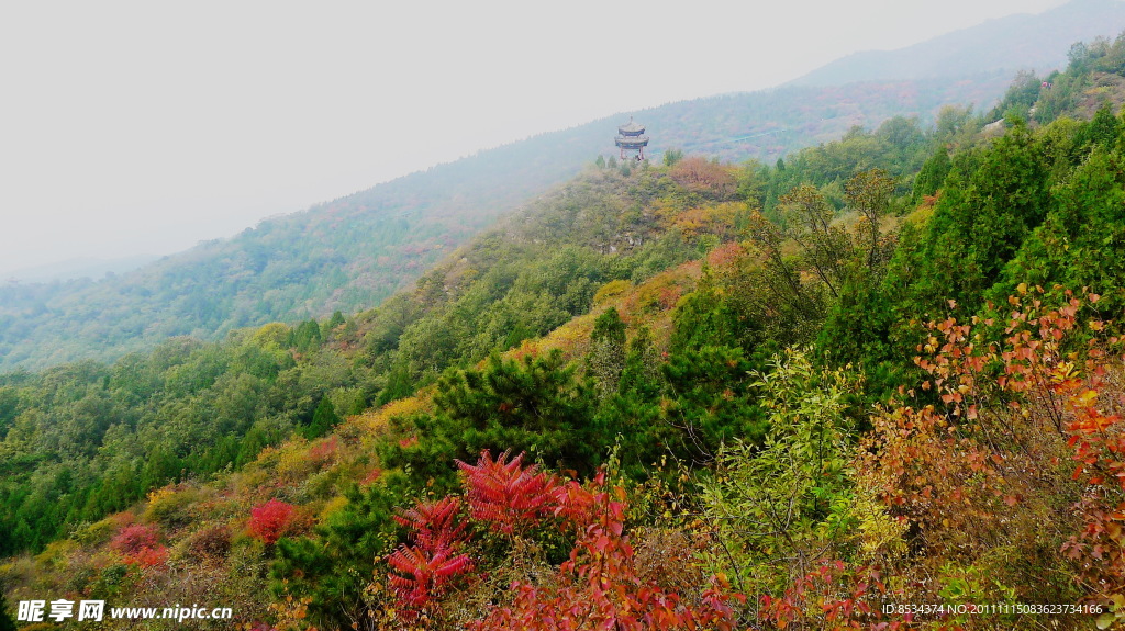 柘泉的北山