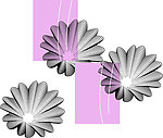 花纹