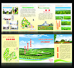 林业生态建设四折页