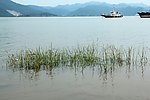 三门游