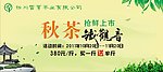 铁观音海报