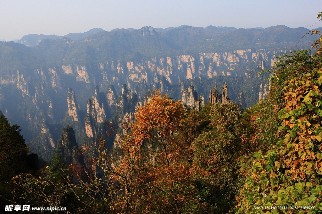 天子山风景区