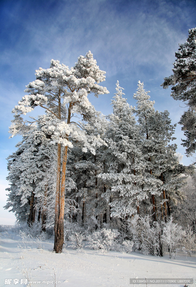 冬季雪景