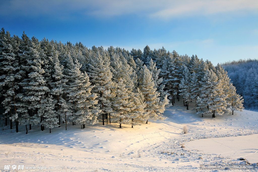 冬季雪景