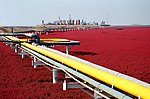输油线