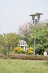 公园景色