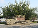 汉口江滩园林景观