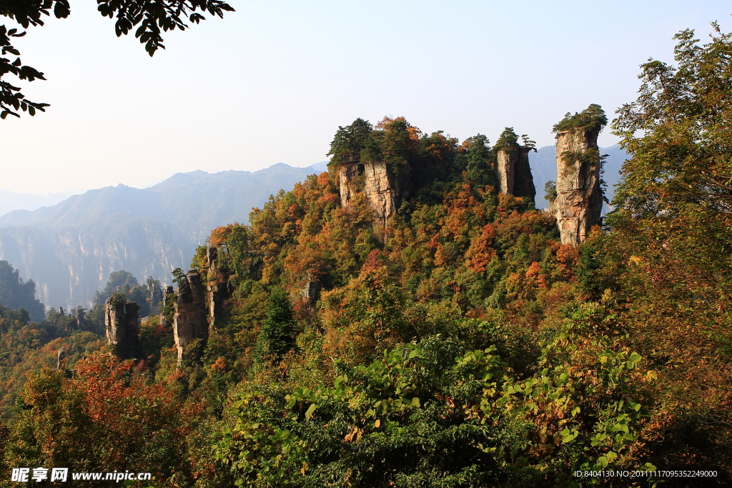 天子山景区