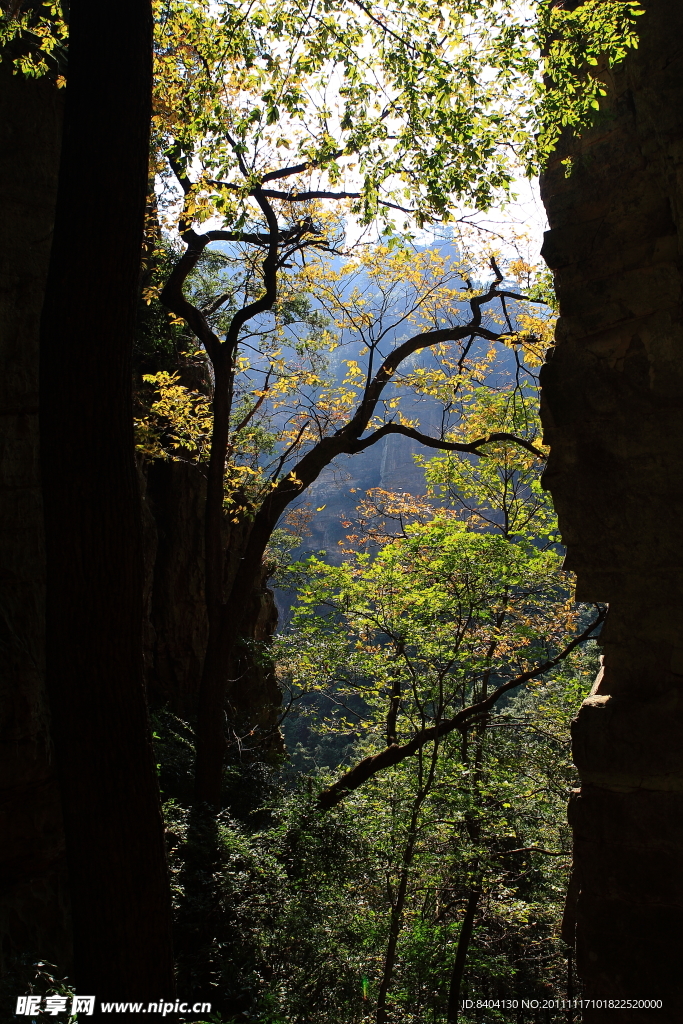 阳光透过山谷