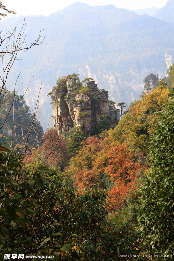 天子山景区