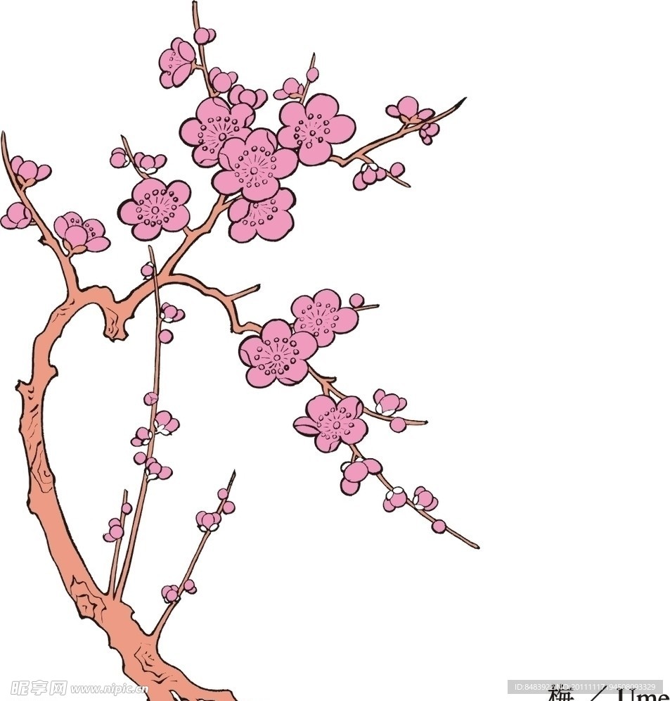 梅花