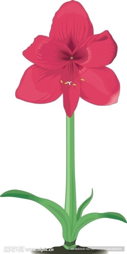 花卉