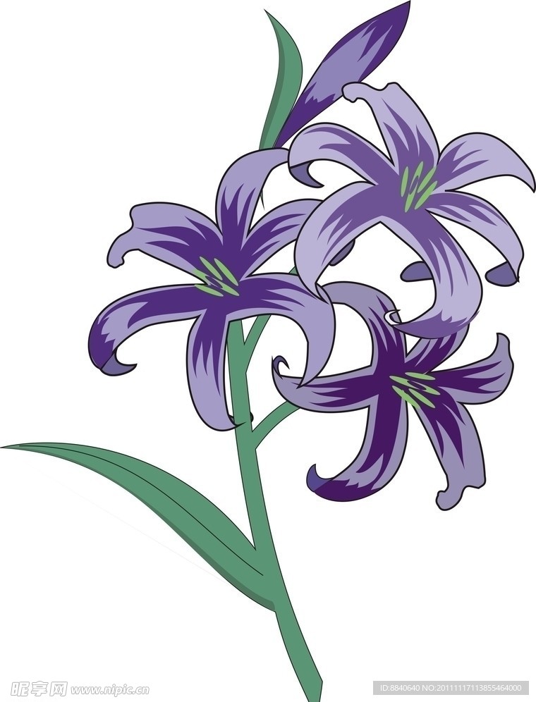 花卉