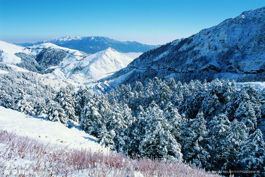雪景