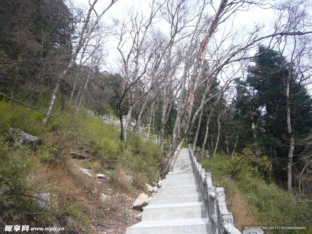 秦岭山间小路