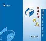 统计画册封面