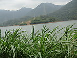 水库边风景