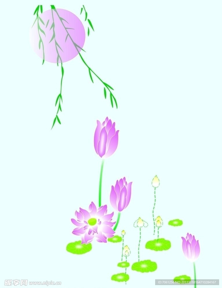 荷花
