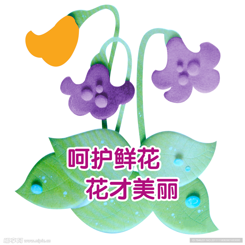 呵护鲜花