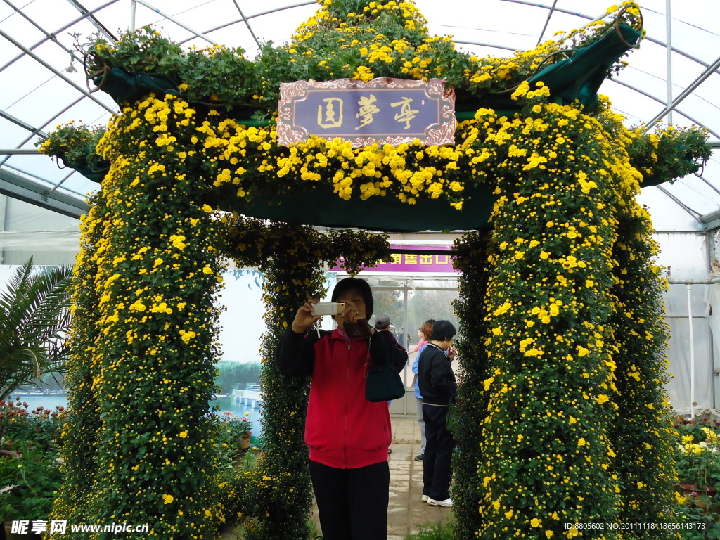 菊展 圆梦亭