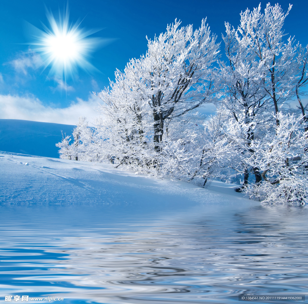 美丽雪景