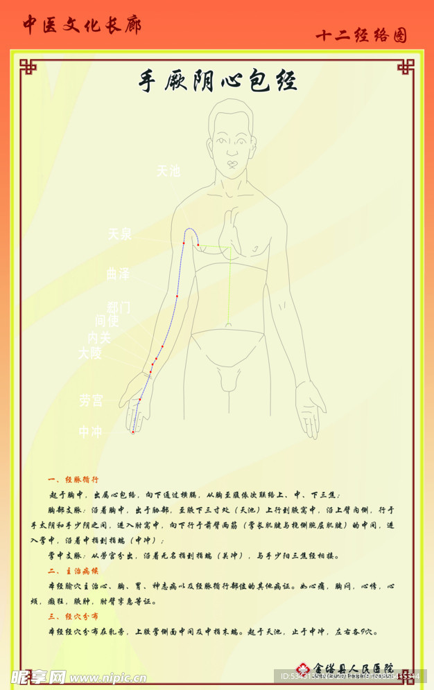 十二经络